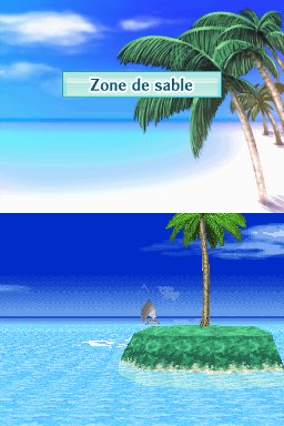 Pantallazo de Dolphins 2: Tus Amigos del Mar para Nintendo DS