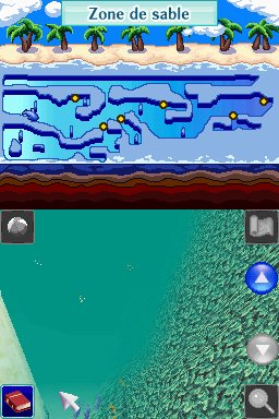 Pantallazo de Dolphins 2: Tus Amigos del Mar para Nintendo DS