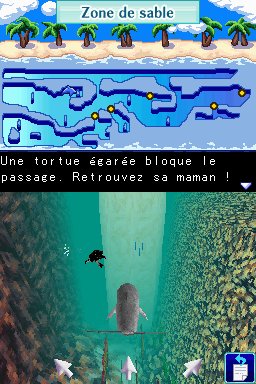 Pantallazo de Dolphins 2: Tus Amigos del Mar para Nintendo DS