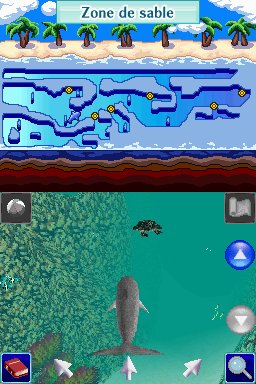 Pantallazo de Dolphins 2: Tus Amigos del Mar para Nintendo DS