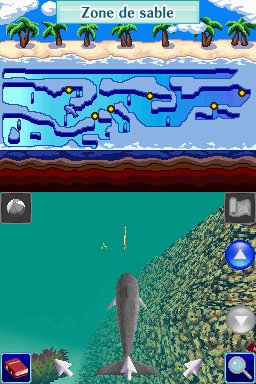 Pantallazo de Dolphins 2: Tus Amigos del Mar para Nintendo DS