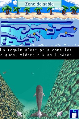 Pantallazo de Dolphins 2: Tus Amigos del Mar para Nintendo DS
