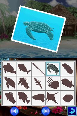 Pantallazo de Dolphins 2: Tus Amigos del Mar para Nintendo DS