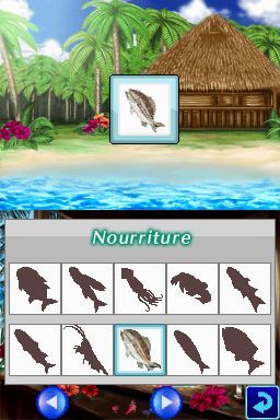 Pantallazo de Dolphins 2: Tus Amigos del Mar para Nintendo DS