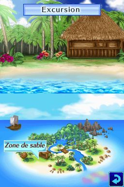 Pantallazo de Dolphins 2: Tus Amigos del Mar para Nintendo DS