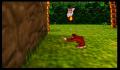 Pantallazo nº 153592 de Donkey Kong 64 (640 x 480)