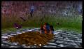Pantallazo nº 153595 de Donkey Kong 64 (640 x 480)