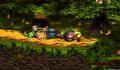 Foto 2 de Donkey Kong Country 3: Dixie Kong's Double Trouble (Europa)