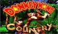 Pantallazo nº 95348 de Donkey Kong Country (250 x 217)