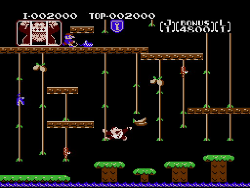Pantallazo de Donkey Kong Jr (Consola Virtual) para Wii