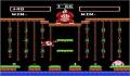 Foto 2 de Donkey Kong Jr. Math