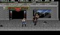 Foto 2 de Double Dragon III: The Rosetta Stone