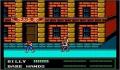 Foto 2 de Double Dragon III: The Sacred Stones