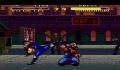 Foto 2 de Double Dragon V: The Shadow Falls