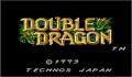 Pantallazo nº 21432 de Double Dragon (250 x 225)