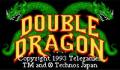 Pantallazo nº 11984 de Double Dragon (321 x 207)