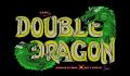 Foto 1 de Double Dragon