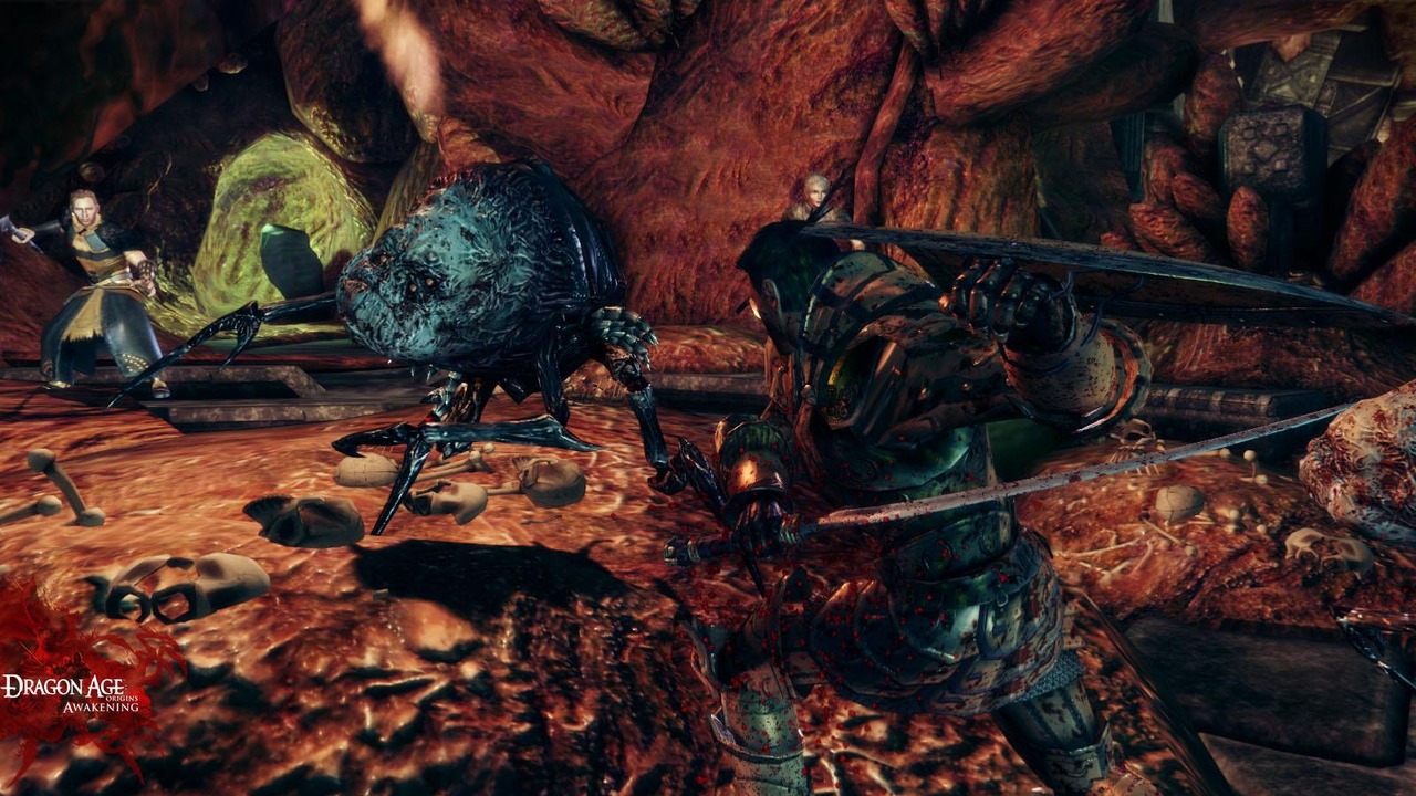 Pantallazo de Dragon Age Origins: The Awakening para PlayStation 3