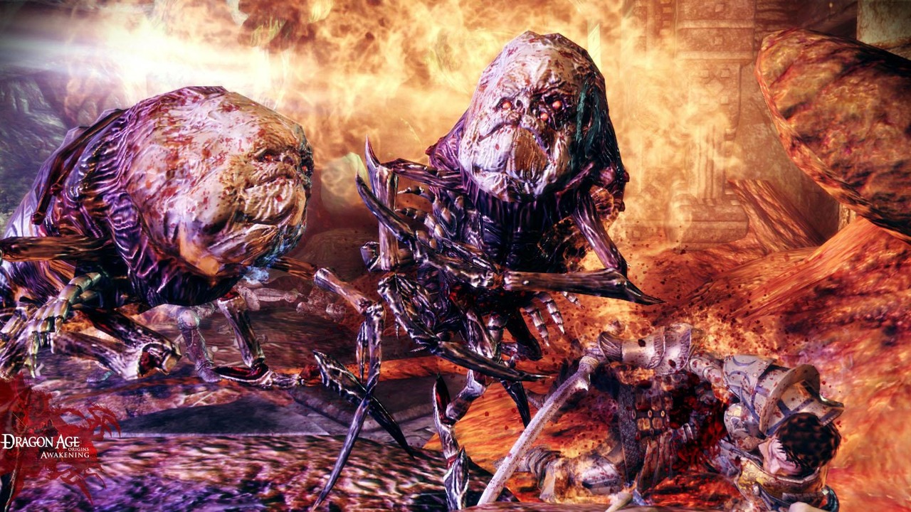 Pantallazo de Dragon Age Origins: The Awakening para PlayStation 3