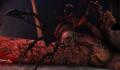Pantallazo nº 190962 de Dragon Age Origins: The Awakening (1280 x 720)