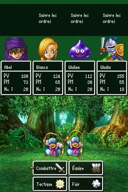 Pantallazo de Dragon Quest: La Prometida Celestial para Nintendo DS