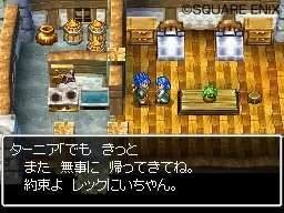 Pantallazo de Dragon Quest: Realms of Reverie para Nintendo DS