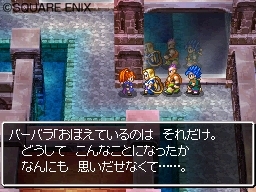 Pantallazo de Dragon Quest: Realms of Reverie para Nintendo DS