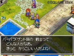 Pantallazo de Dragon Quest: Realms of Reverie para Nintendo DS