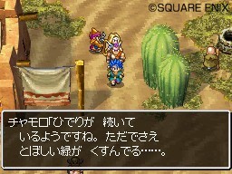Pantallazo de Dragon Quest: Realms of Reverie para Nintendo DS