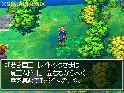 Pantallazo de Dragon Quest: Realms of Reverie para Nintendo DS