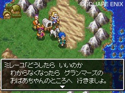 Pantallazo de Dragon Quest: Realms of Reverie para Nintendo DS