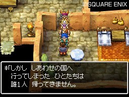 Pantallazo de Dragon Quest: Realms of Reverie para Nintendo DS