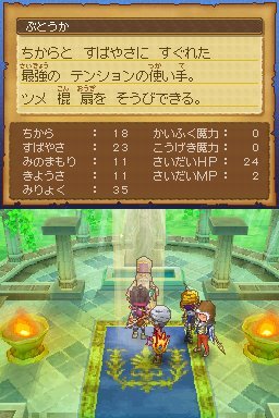 Pantallazo de Dragon Quest IX: Centinelas del Firmamento para Nintendo DS