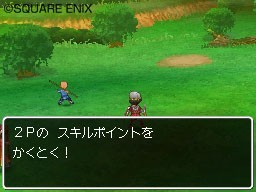 Pantallazo de Dragon Quest IX: Centinelas del Firmamento para Nintendo DS
