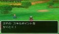 Pantallazo nº 131143 de Dragon Quest IX: Centinelas del Firmamento (256 x 192)