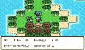 Foto 1 de Dragon Warrior Monsters 2 - Tara's Adventure