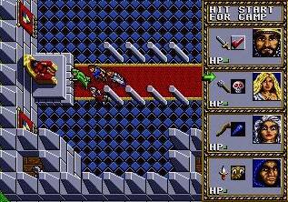 Pantallazo de Dungeons & Dragons: Warriors of the Eternal Sun para Sega Megadrive