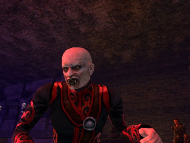 Pantallazo de Dungeons & Dragons Online: The Demon Sands para PC