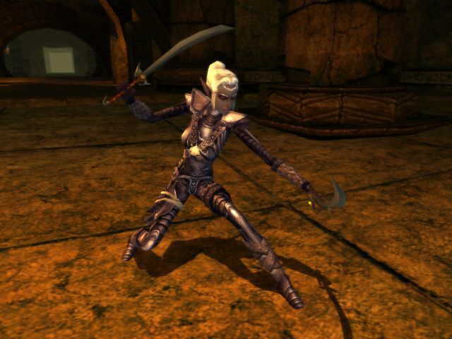 Pantallazo de Dungeons & Dragons Online: The Demon Sands para PC