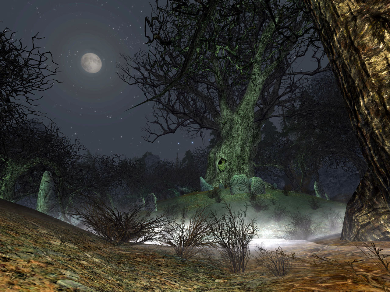 Pantallazo de El Señor de los Anillos Online: El Asedio de Mirkwood para PC