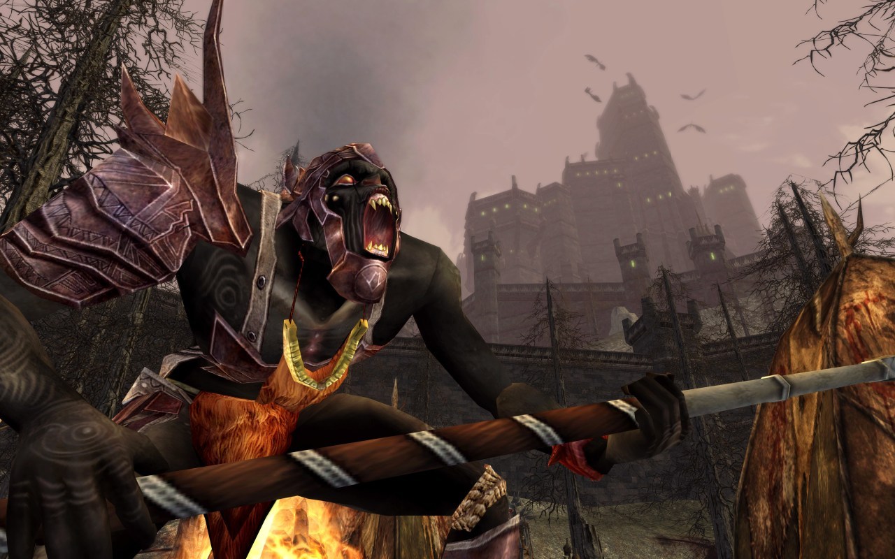 Pantallazo de El Señor de los Anillos Online: El Asedio de Mirkwood para PC