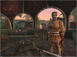 Pantallazo de Elder Scrolls III: Tribunal, The para PC