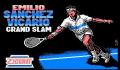 Pantallazo nº 8503 de Emilio Sanchez Vicario Grand Slam (269 x 209)