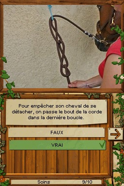 Pantallazo de Equitation Galops 1 A 4 para Nintendo DS