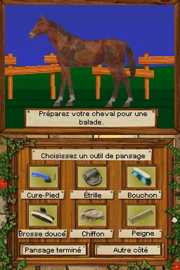 Pantallazo de Equitation Galops 1 A 4 para Nintendo DS