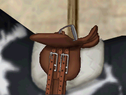 Pantallazo de Eugénie Angot : Championne d'Equitation para Nintendo DS