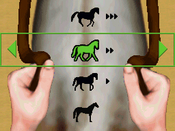 Pantallazo de Eugénie Angot : Championne d'Equitation para Nintendo DS