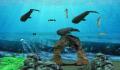Foto 1 de Fantasy Aquarium by DS