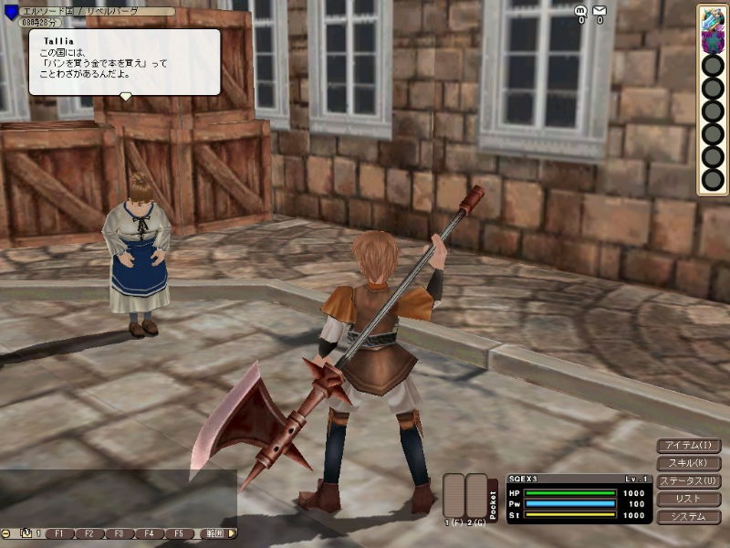 Pantallazo de Fantasy Earth: Ring of Domination para PC
