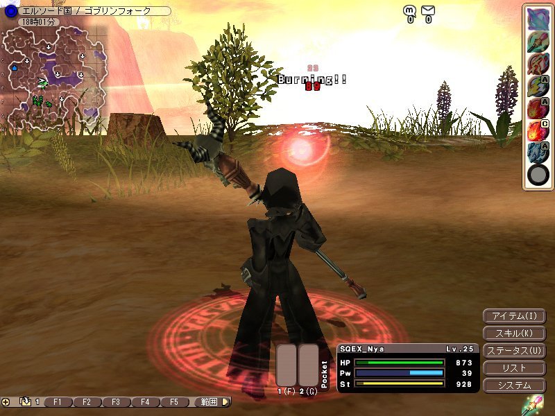Pantallazo de Fantasy Earth: The Ring of Dominion (Japonés) para PC